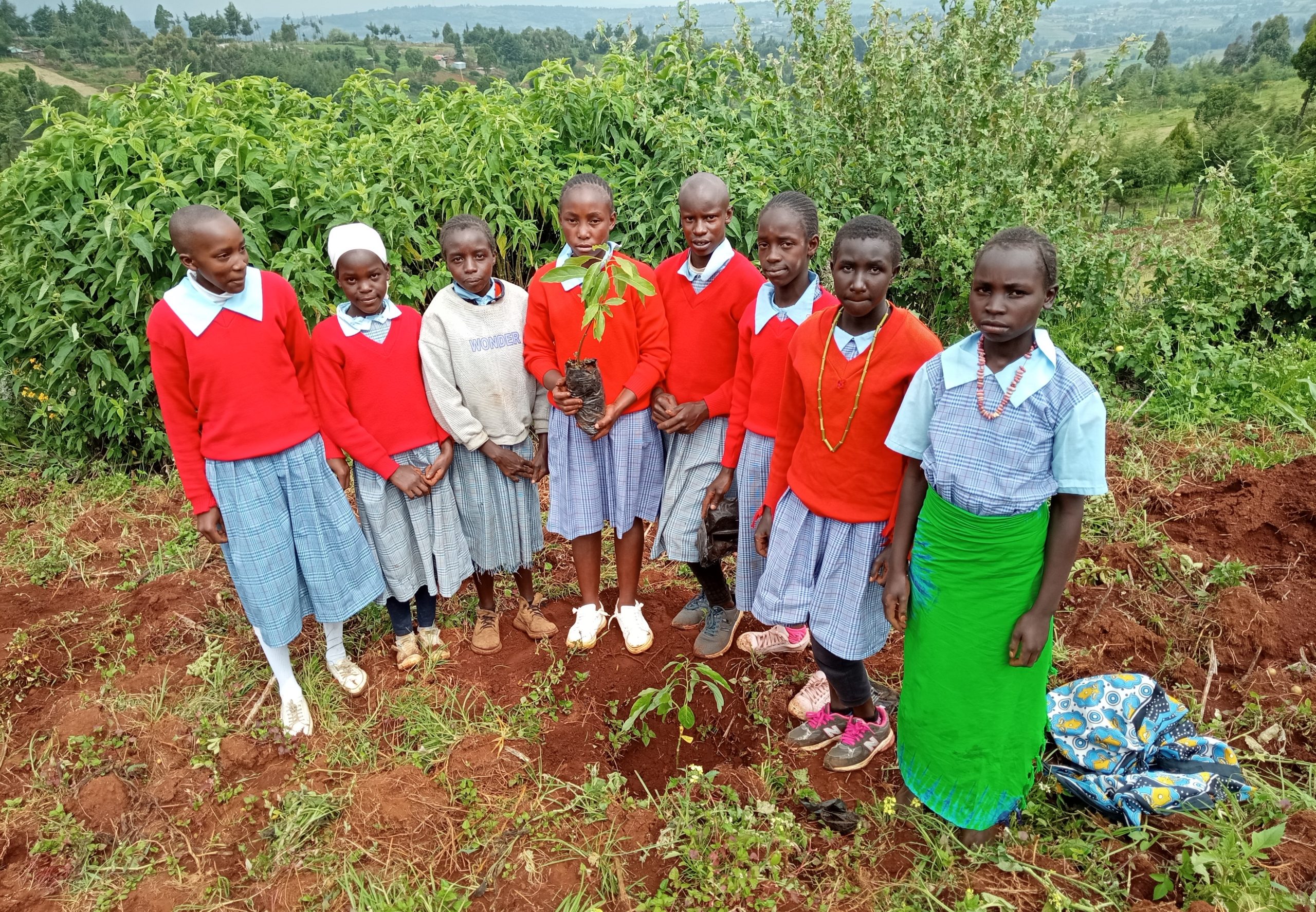 School Greening Program at Seguton Primary School